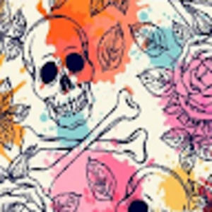 Meet your Posher, Dawn